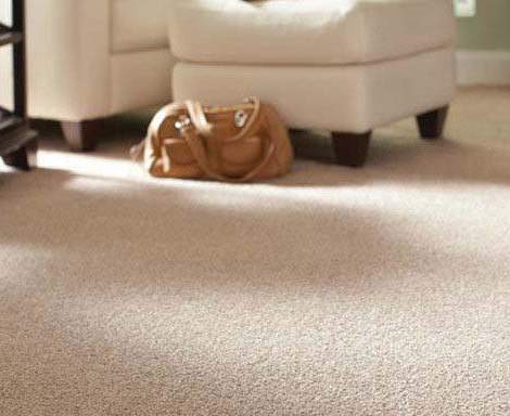 carpet_steam_cleaning_services_pearl_carpet_cleaning