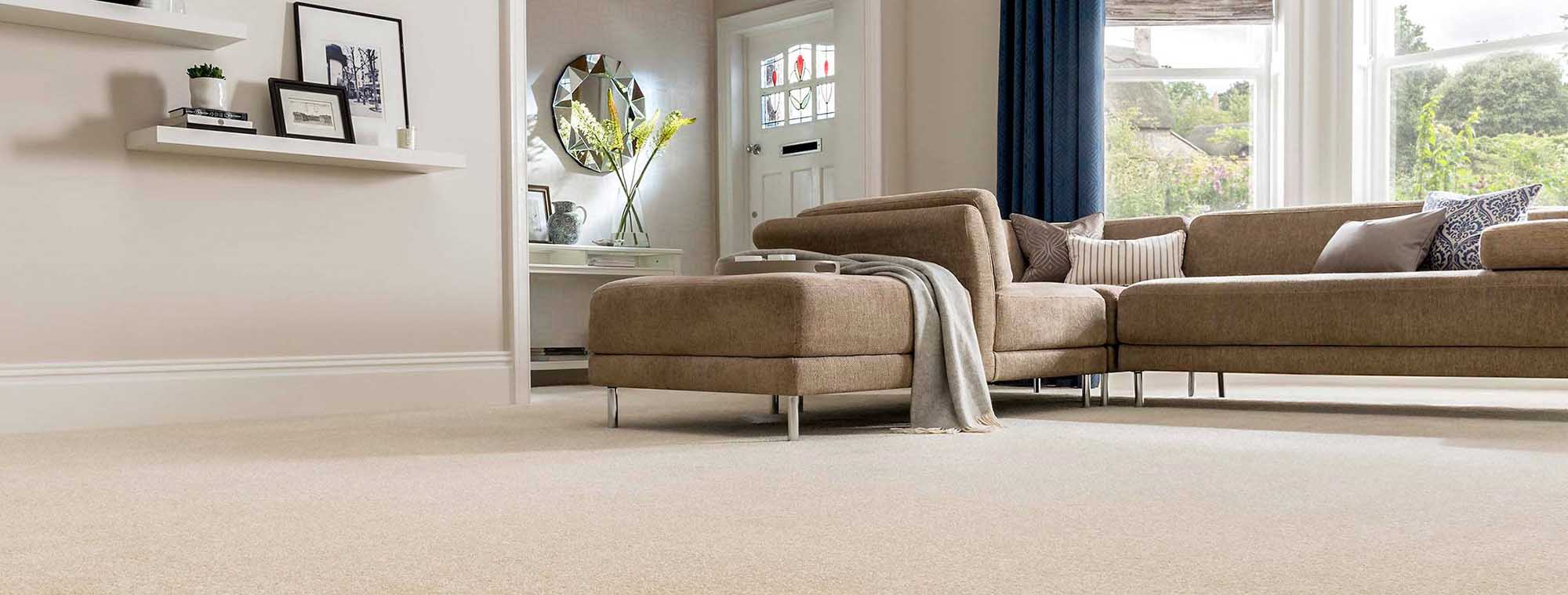 pearl_carpet_cleaning_services_cleaners