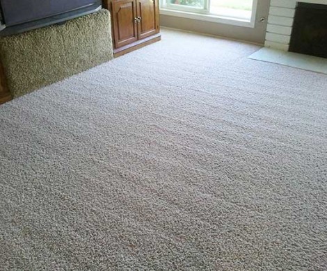 cheap_carpet_cleaning_rouse_hill_local (11)